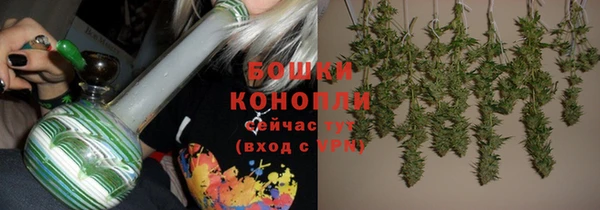 apvp Гусев