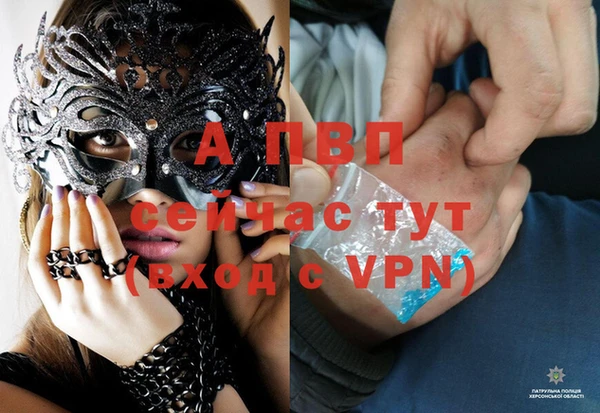 apvp Гусев