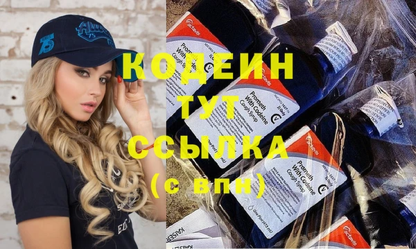 apvp Гусев