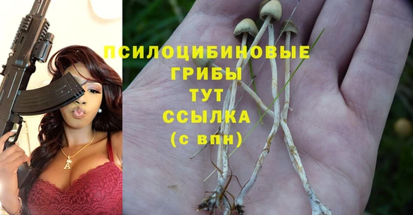 меф Гусиноозёрск