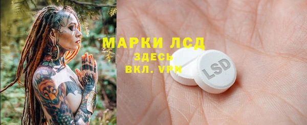 apvp Гусев