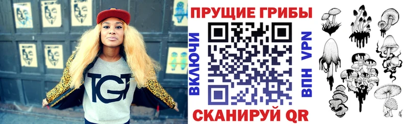 Галлюциногенные грибы MAGIC MUSHROOMS  Тара 