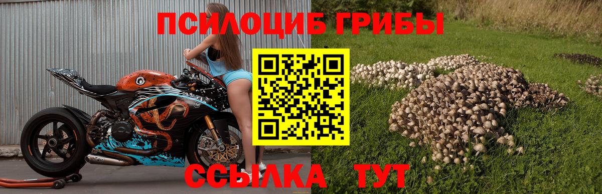 Галлюциногенные грибы ЛСД  Галлюциногенные грибы мицелий  Тара  Вход с VPN 